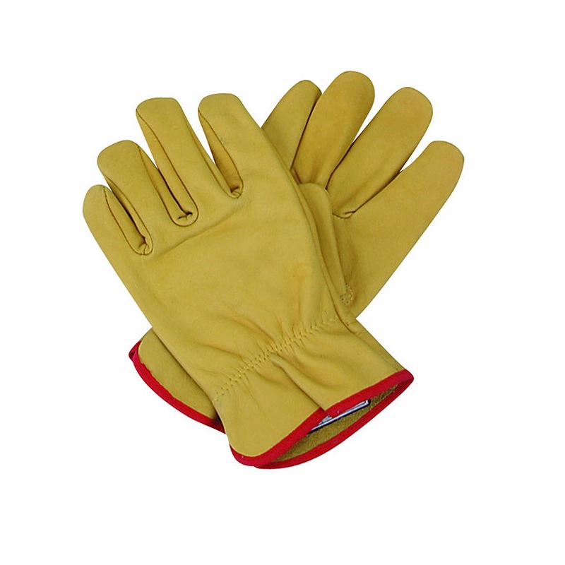 Guante Vaqueta Medio Paseo